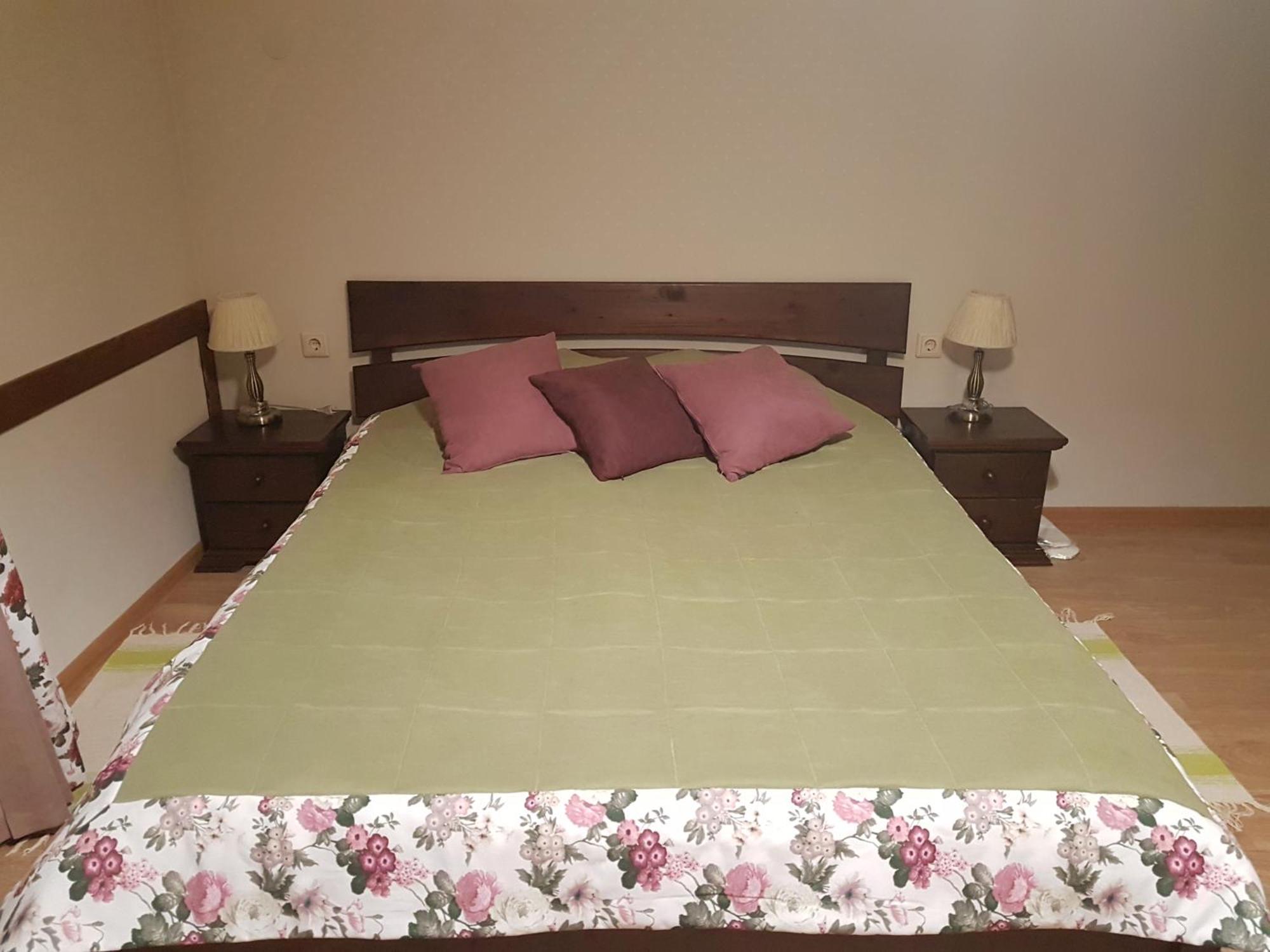 Zelena Sadyba Turichki Habitación foto